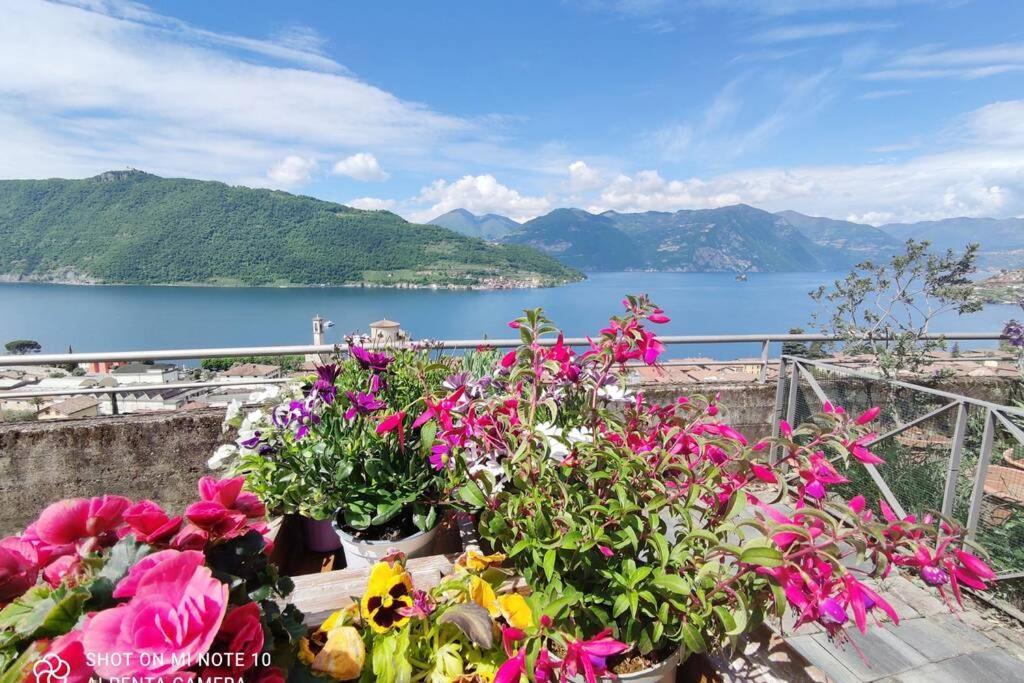 Gioiello Sul Lago D'Iseo Sale Marasino Exteriör bild